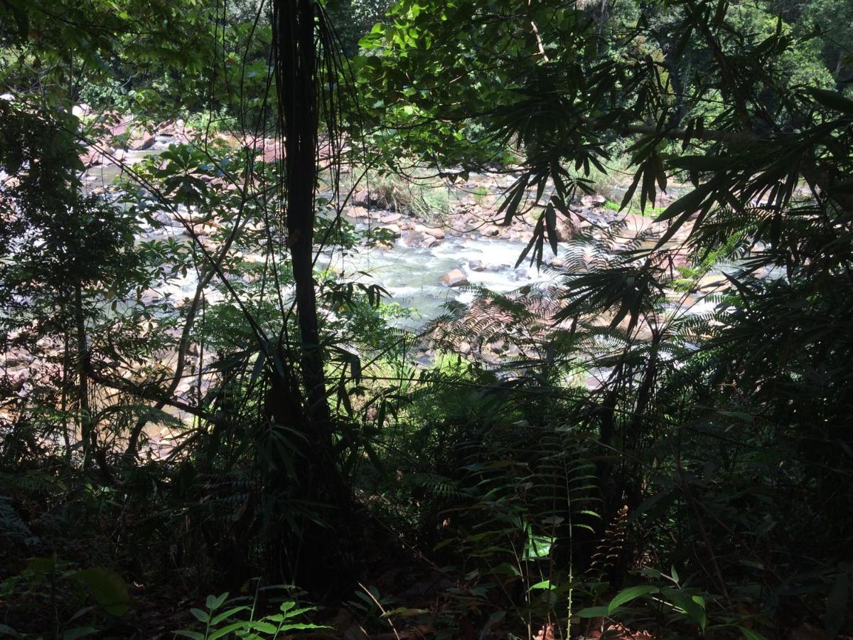 Sinharaja Forest Edge Pensión Deniyaya Exterior foto