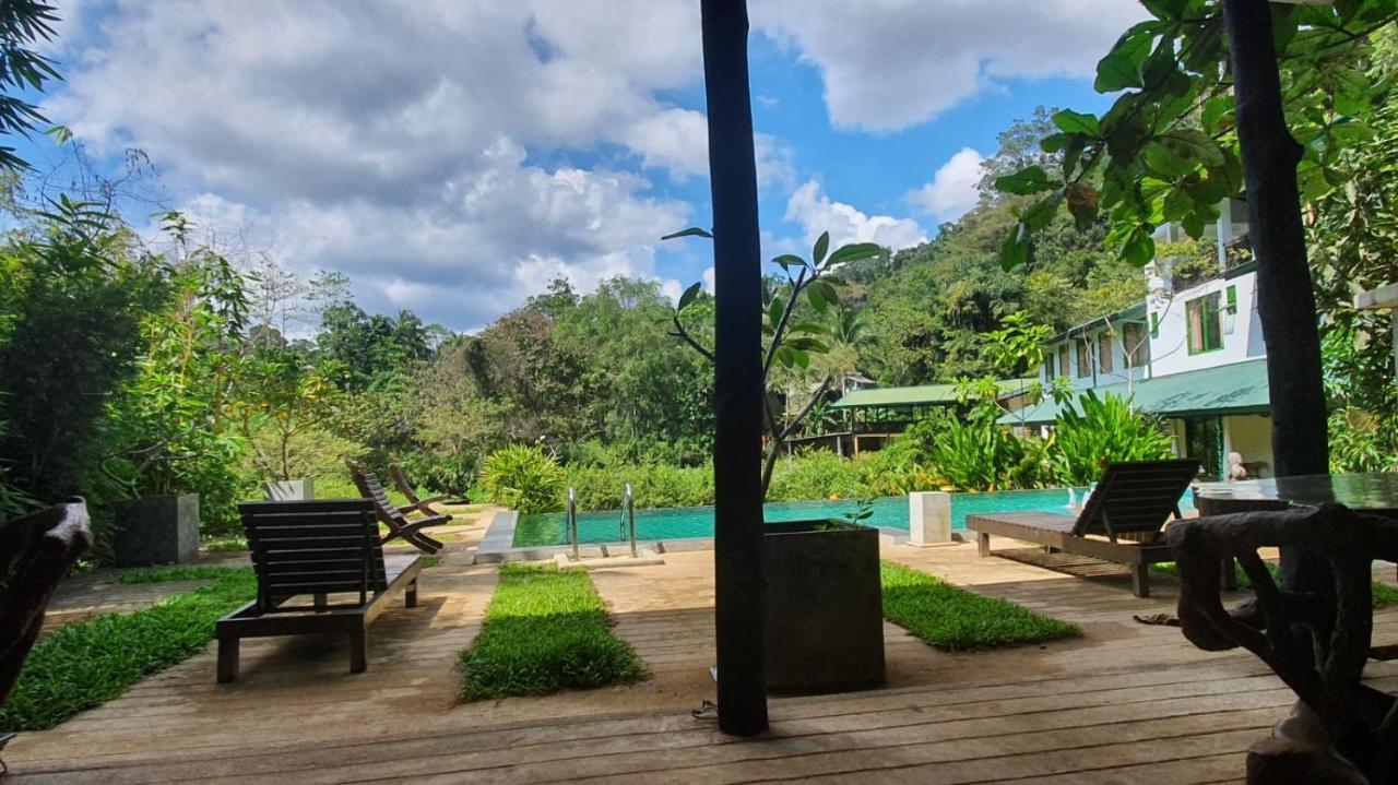 Sinharaja Forest Edge Pensión Deniyaya Exterior foto