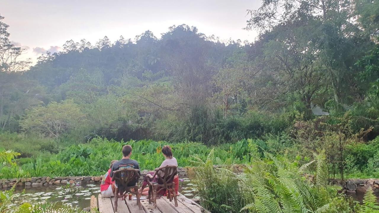Sinharaja Forest Edge Pensión Deniyaya Exterior foto