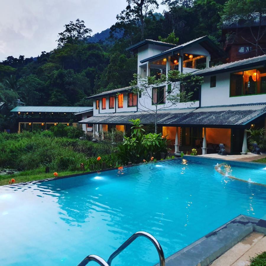 Sinharaja Forest Edge Pensión Deniyaya Exterior foto
