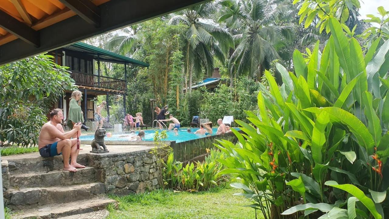 Sinharaja Forest Edge Pensión Deniyaya Exterior foto