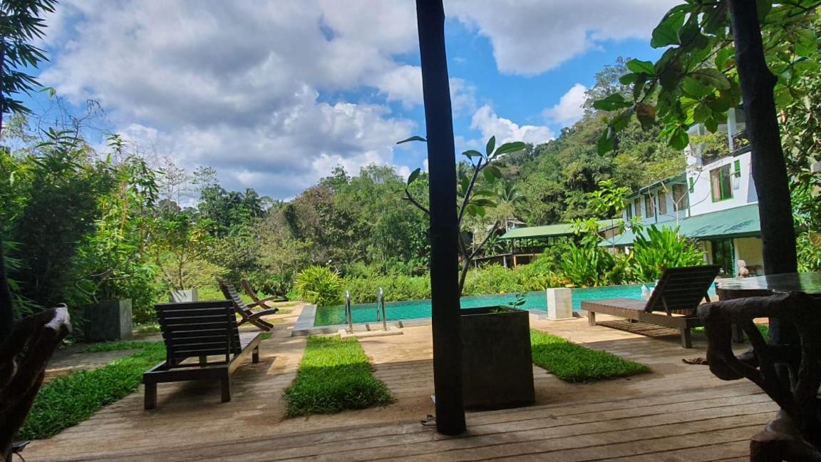 Sinharaja Forest Edge Pensión Deniyaya Exterior foto