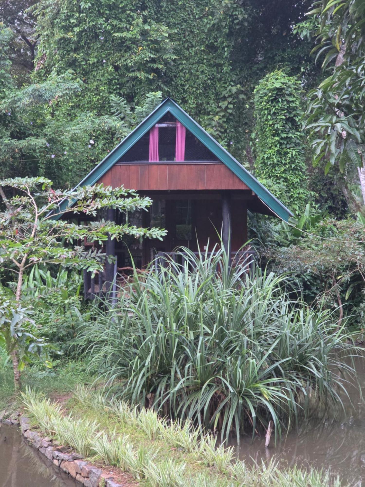 Sinharaja Forest Edge Pensión Deniyaya Exterior foto