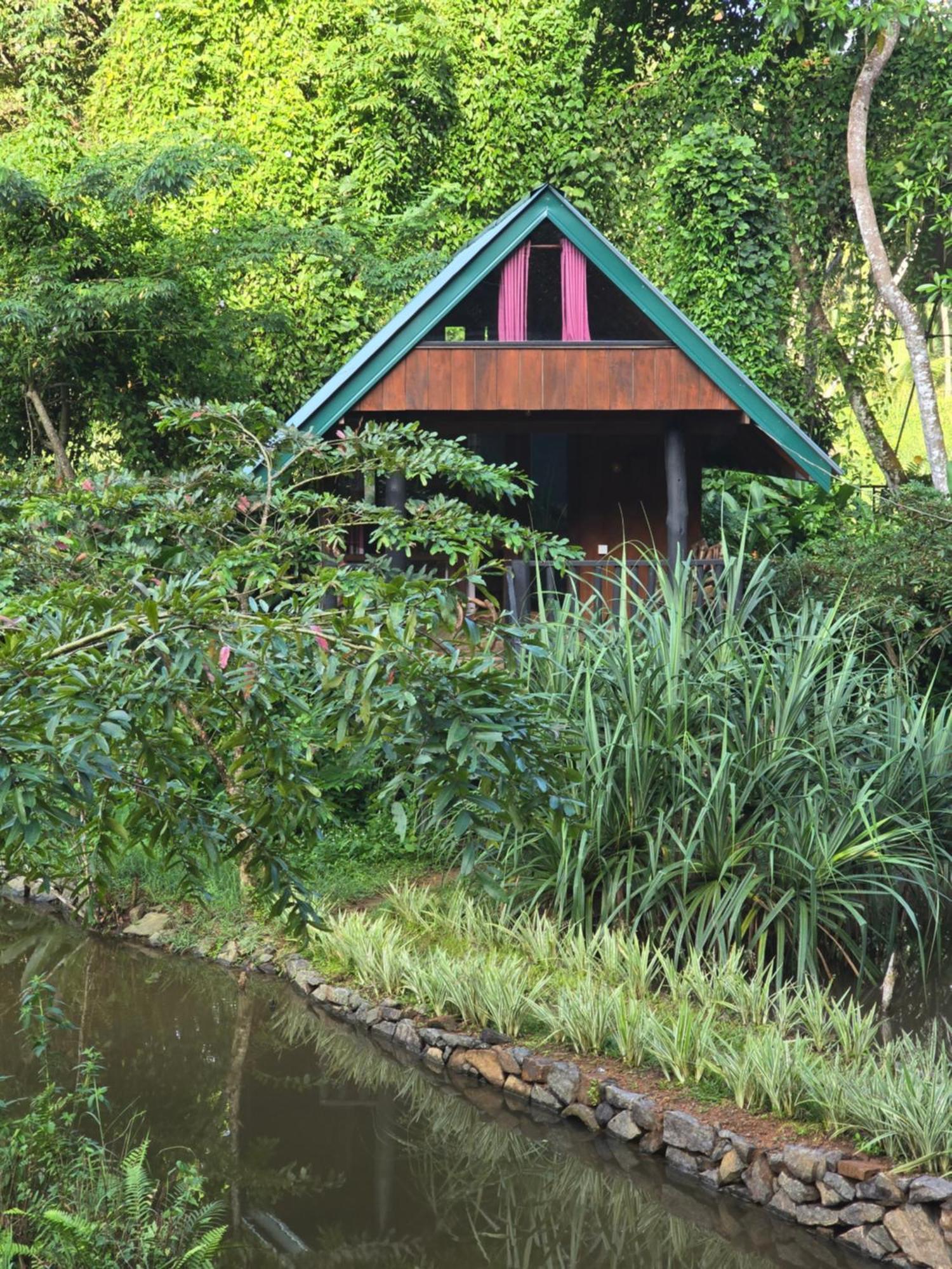 Sinharaja Forest Edge Pensión Deniyaya Exterior foto