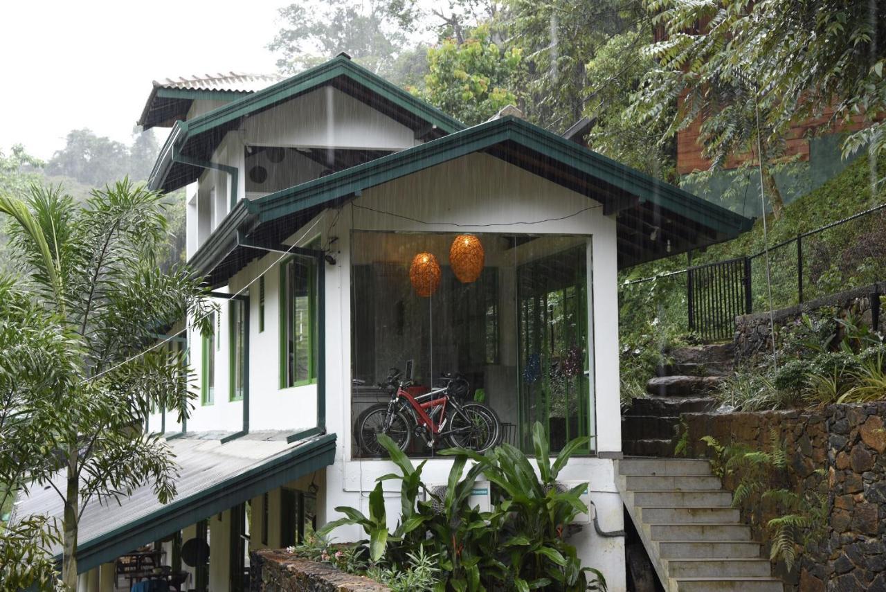 Sinharaja Forest Edge Pensión Deniyaya Exterior foto