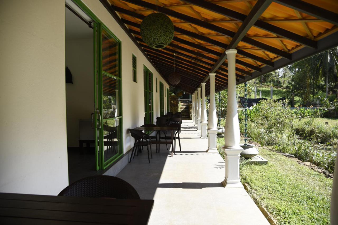 Sinharaja Forest Edge Pensión Deniyaya Exterior foto