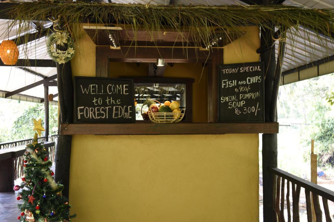 Sinharaja Forest Edge Pensión Deniyaya Exterior foto